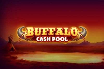 14856 buffalo cash pool
